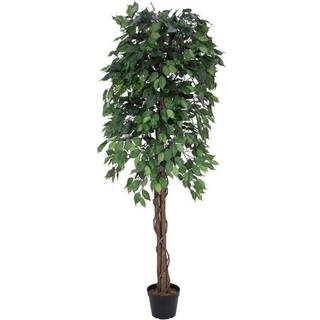 Europalms Ficus Tree Multi-Trunk, artificial plant, 180cm TILBUD NU