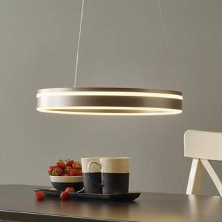 PAUL NEUHAUS Q-VITO RUND Ø40 BØRSTET ALUMINIUM LED PENDEL