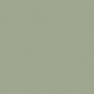 Stella - Green