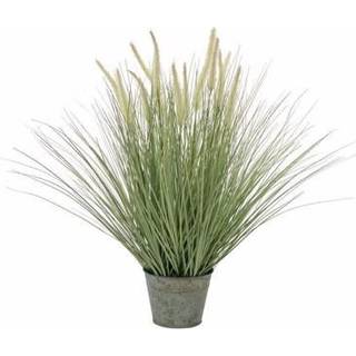 Europalms Ornamental blooming grass, artificial, 70cm TILBUD NU blomstrende græs