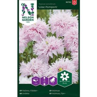 Valmue 'Lilac Pompom'