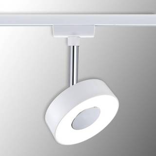 Paulmann URail Circle LED-spot, rundt, i hvidt