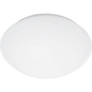 STEINEL RS Pro P2 LED-loftlampe 4.000 K