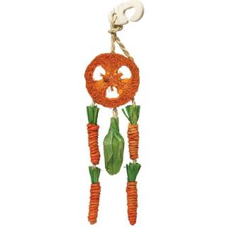 Rosewood Carrot Dream Catcher