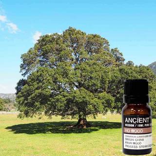 Ho-træ æterisk olie (ho wood), 10ml