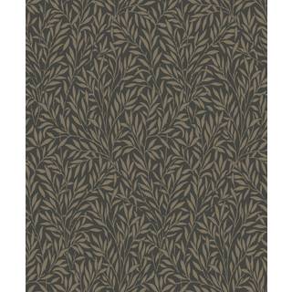 Willow Noir - ARCR86359501