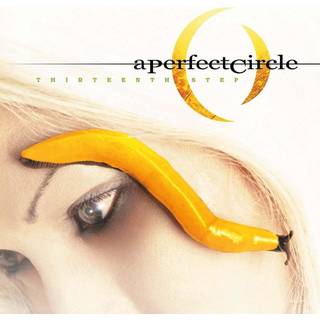 A Perfect Circle - Thirteenth Step