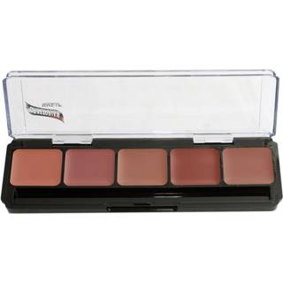 Lip Palettes (Cool Lip Palette)