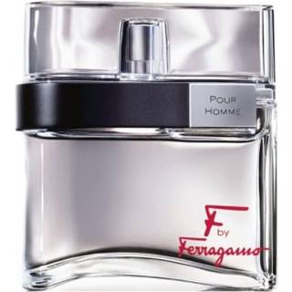 Salvatore Ferragamo F Pour Homme med 100 ml 3,4 oz EDT Spray