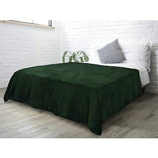 Pavilia fleece t?ppe queen size | Super Soft Plush Luxury Flannel Throw | Letv?gts mikrofiber t?ppe til sofa sofa seng (Emerald Green 90x90 inche