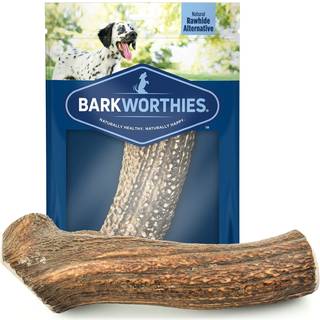 Barkworthies Hand Selected Naturally Shed Ekstra stort Hel Elk Gevir (Enkelt Gevir) - Langvarig Lugtfri Hundetygge til XL-racehunde - Ingen kemis