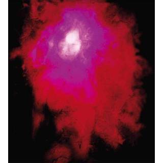 Porcupine Tree - Up The Downstair