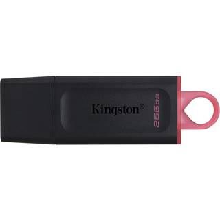 Kingston Datatraveler Exodia 256gb Usb Type-a Sort, Lyserød