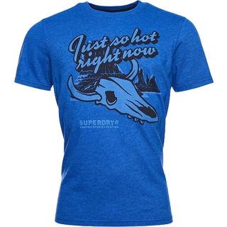 Superdry Heritage Mountain T-shirt