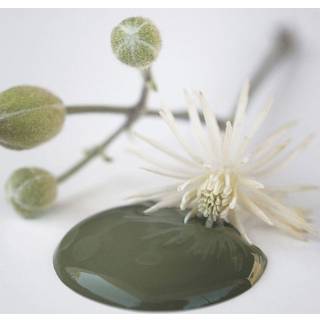 Olive green kalkmaling 100 ml. eller 700 ml.