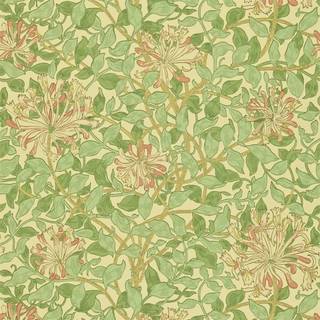 Honeysuckle - Green/Beige/Pink