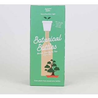 Gift Republic Botanical Bottles Bonsai - Plante