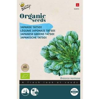 Buzzy Organic Tatsoi, økologiske frø