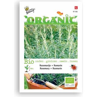 Buzzy Organic rosmarin, økologiske frø