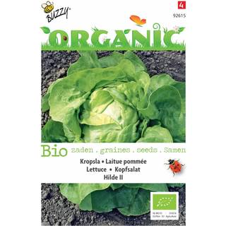 Buzzy Organic hovedsalat Hilde II, økologiske frø
