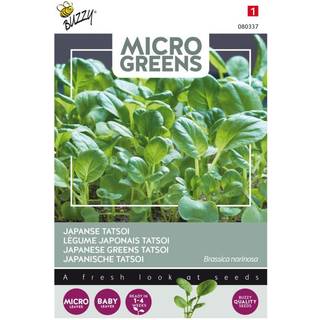 Dyrk selv - Tatsoi Microgreens Buzzy Grøn Var. Frø