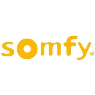 Somfy ekstern antenne RTS, 2400472