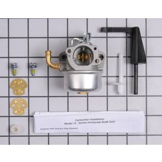 Karburator Briggs&Stratton 798653