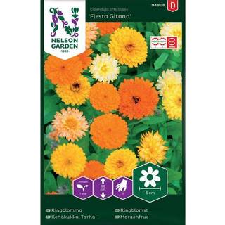Lav Morgenfrue 'Fiesta Gitana'