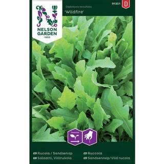 Vild Rucola 'Wildfire'