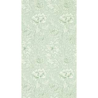 Chrysanthemum Toile Willow - 217069