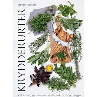 Krydderurter