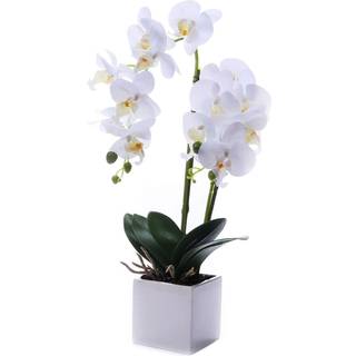 Gxlmii kunstige orkideer blomster med vase til bord midtstykker faux orkid? orquideas falske ?gte touch store livlige phalaenopsis hvide plante i