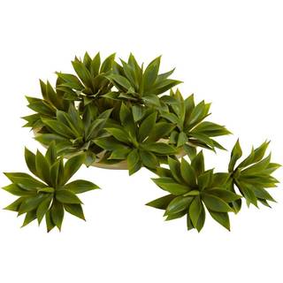 Næsten naturlige 6110-S12 agave succulent plant mini sæt på 12