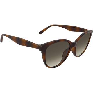 Salvatore Ferragamo SF1073S 240 54 Solbriller Kvinder Tortoiseshell - Dark Tortoise - 54mm