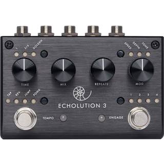 Pigtronix Echolution 3 Guitar effekt