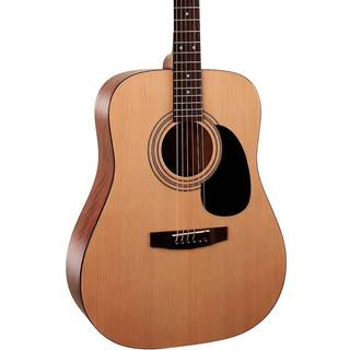 Cort AD810 Open Pore Natural Dreadnought Guitar