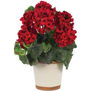 Geranium Silkeplante — Dyb rød 17-tommer højt arrangement med seks blomstrende kronblade og smilende blade