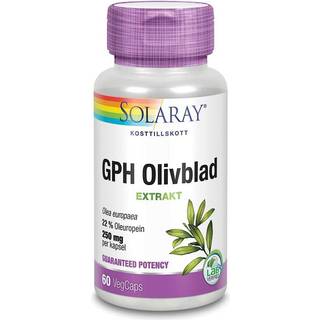 Olivblad 60 kapsler