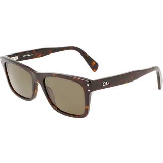 Ferragamo Mand SF1039S 240 Solbriller Acetat Havana Brun Firkantet Normal