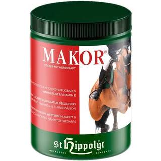 Makor