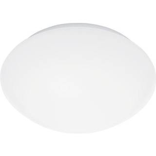STEINEL RS Pro P3 LED-loftlampe 3.000 K