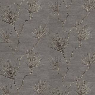 Peninsula Palm - EREE110817