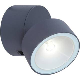 LUTEC TRUMPET udendørs LED væglampe, 600 lm, IP54, mørk grå