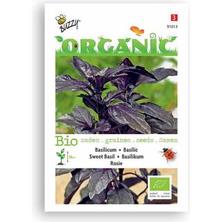 Buzzy Organic basilikum, Rosie, økologiske frø