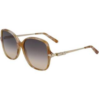 Ferragamo Kvinde SF990SR 218 Solbriller Acetat Havana Grå Firkantet Skygge