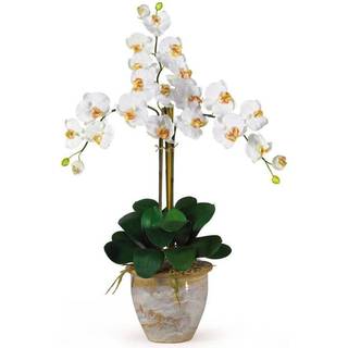 N?sten naturlig 1017-eller tredobbelt phalaenopsis silke orkid?blomsterarrangement