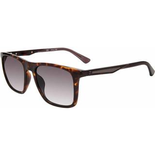 Police SPLF17 0978 54 Solbriller Mænd Tortoiseshell - Shiny Dark Tortoise - 54mm