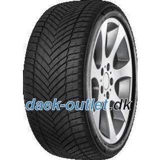 Minerva All Season Master XL 255/30R19 91Y