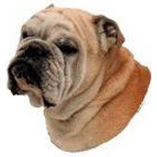 KW ENGLISH BULLDOG 8 CM / 4 STK
