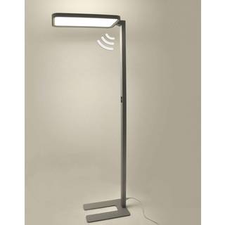 Nelus Neo LED-gulvlampe til kontor dæmper, sensor